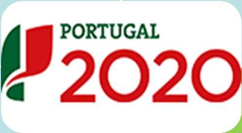 P2020- SUSTENTABILIDADE E EFICIÊNCIA NO USO DE RECURSOS Competitividade e Internacionalização