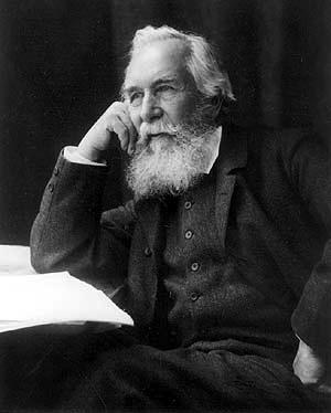 Ernst Haeckel (1834-1919) Ernst Heinrich Philipp August Haeckel, zoólogo alemão, foi um dos primeiros defensores das idéias