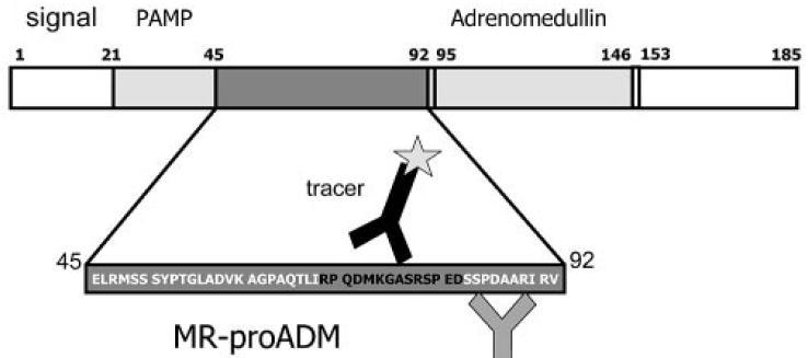 Midregional pro-adrenomedullin (MR-proADM) Hypothesis: MR-proADM predicts disease