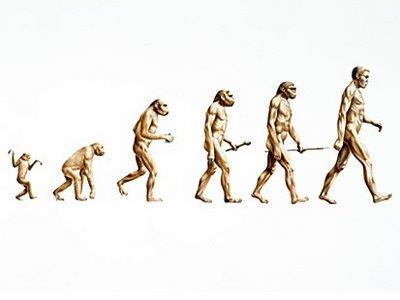 Bizzo (1991) Estudantes veem o homem como referência central da evolução: A evolução é aquele processo que transforma um macaco em homem ; Resistência a pesticidas: estudantes