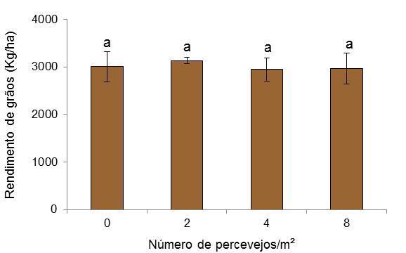 Dados transformados em kg/hectare.