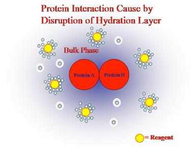 Proteína sai da solução para uma fase cristalina, através da indução