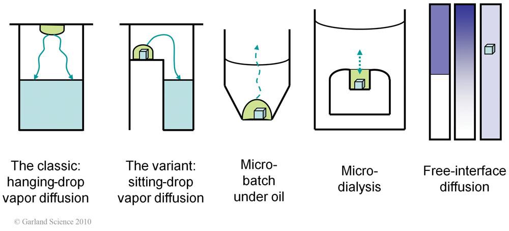 Nucleação e Crescimento O processo de cristalização procede em duas fases: Nucleação e Crescimento Termodinâmica da Cristalização A colisão entre moléculas podem induzir a formação de agregados