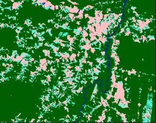 TOPOGRÁFICO Número De Polígonos Tamanho Médio dos Polígonos Ano 88 94 98 88 94 98 Floresta 592 741 838 166 325 556 Sucessão 1694 4316 4846 687 1972 2684 Produção 2552 2306 2717 863 886 1437 ESPINHA