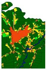 3.5. Dinâmica de uso da terra em lotes rurais e peri-urbanos na fronteira agropecuária amazônica A análise ao nível dos lotes fornece a melhor oportunidade para entender em detalhe o processo de