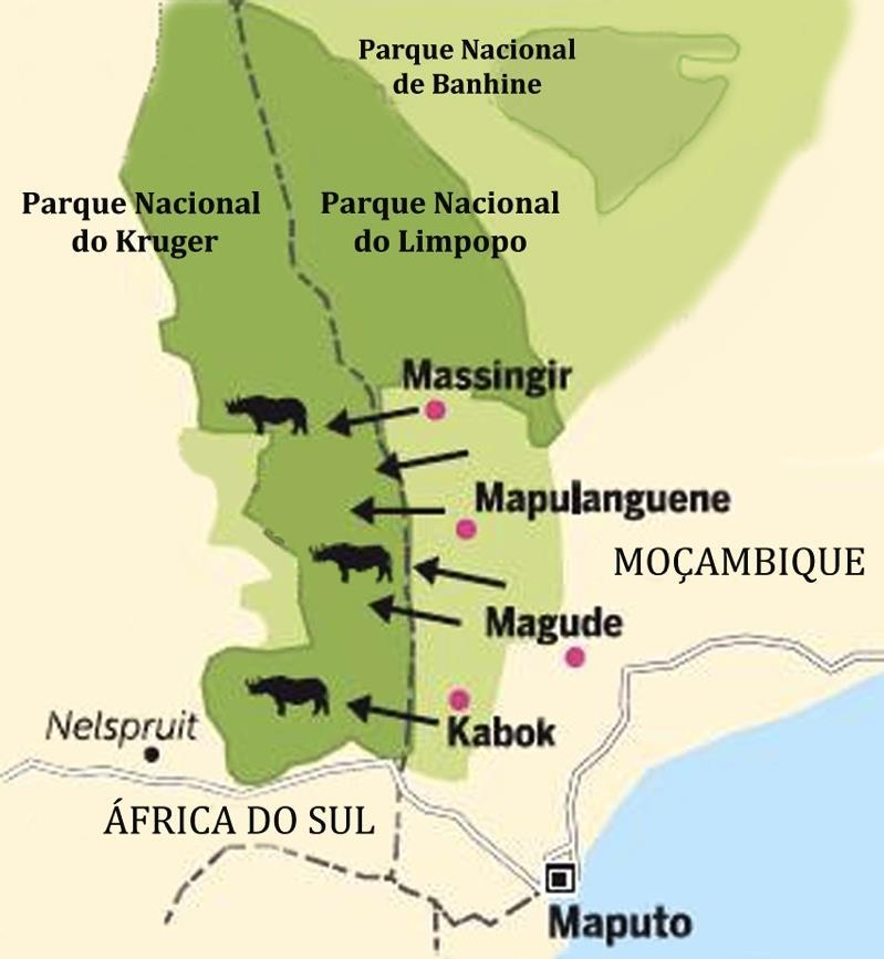 Figura 6. Principais rotas utilizadas por caçadores furtivos Moçambicanos para entrarem no Parque Nacional do Kruger na África do Sul (adaptado de Sunday Times, 20 Abril 2014).