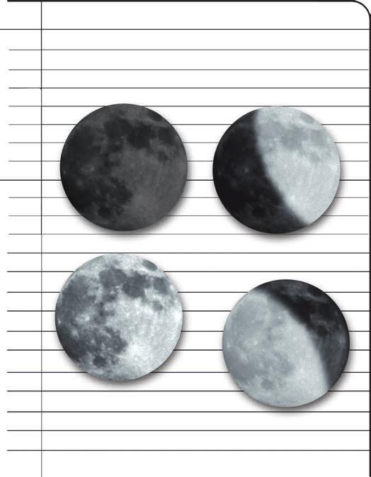 FICHA DE REGISTO 2 AS FASES DA LUA 1 Aqui podes ver as quatro fases da Lua.