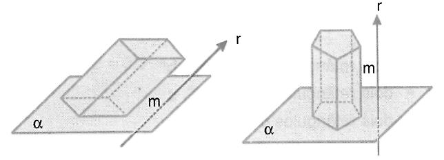 GABARITO 1) d ) b ) b 4) a 5) c ) Prismas O prisma é um sólido delimitado por faces planas, conforme verificamos nas figuras seguintes.