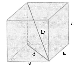 .5) Diagonal Chamamos diagonal D de um prisma todo segmento de