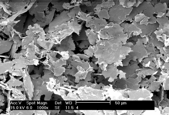 (a) (b) A (c) (d) Figura 4- Micrografias dos géis: PAM (a), PAMH (b), BENPG10 (c) e BENPG10H (d).