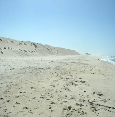 Janeiro de 2003, no período de Foto 48 Estação M9: vista da praia em