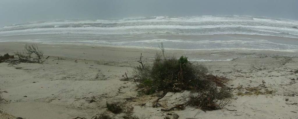 Foto 51 Estação M10: vista para a praia em Janeiro de 2003.