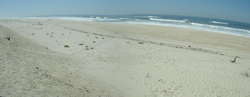 . Foto 53 Estação M10: vista para a praia em Setembro