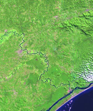 verdes. Nesta divisão foram utilizados, além de alguns valores espectrais, algumas razões (ratios) entre bandas, principalmente o NDVI e o MVI5 (figura 3).