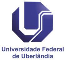 Elmiro Santos Resende Reitor Clésio Lourenço Xavier Diretor Centro de Estudos, Pesquisas e Projetos Econômico-sociais Henrique Barros Coordenador BOLETIM DO EMPREGO EM UBERLÂNDIA Ano 3 Nº 9