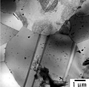 (A) (B) (C) Figura 1 Micrografia ótica inicial da amostra do aço ISO 5832-9 reaquecida a 1250 o C e mantida nesta temperatura durante 300 s (A).