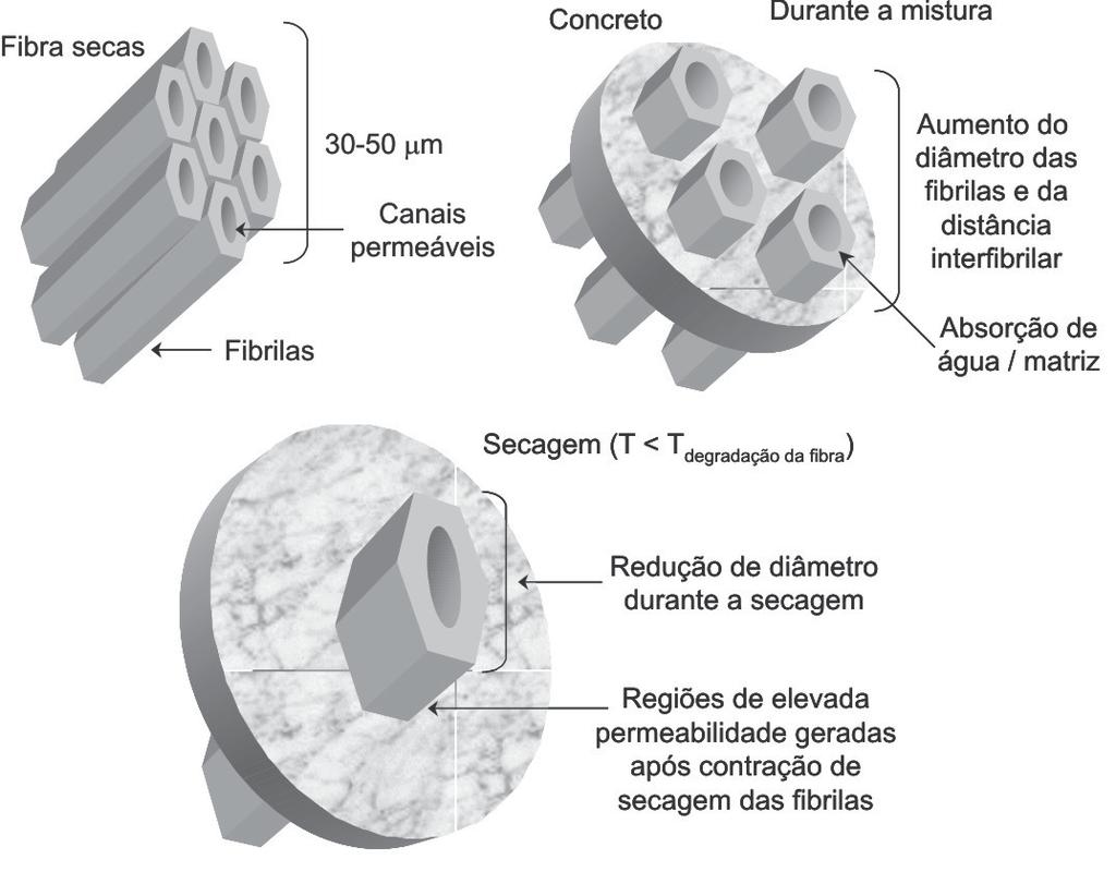 C. S. Isaac et al.