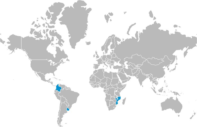 FATORES CHAVE DE SUCESSO Estreita colaboração entre as diversas áreas de negócios do Grupo; Forte ligação local nas geografias onde atua; Experiência e know-how de 80 anos na sua atividade; Foco nas