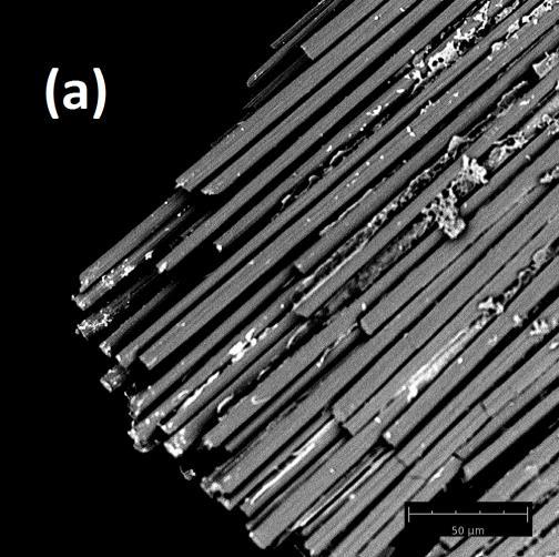 Figura 36 - Imagem de elétrons retroespalhados obtida em MEV e espectro de EDS.