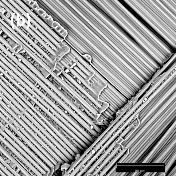 Figura 41 - Imagens obtidas por elétrons retroespalhados em MEV (a) fibra