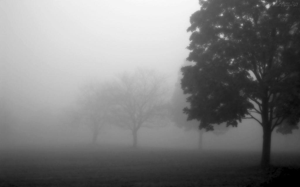 A neblina é uma nuvem em contato ou próxima do solo.