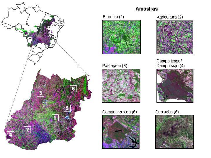 Campo Cerrado (Parque Nacional de Brasília); 6) Cerrado denso (Parque Nacional Chapada dos Veadeiros) (figura 2). Figura 2. Área de estudo e locais de amostragem (tiles h13v10 e h12v10).