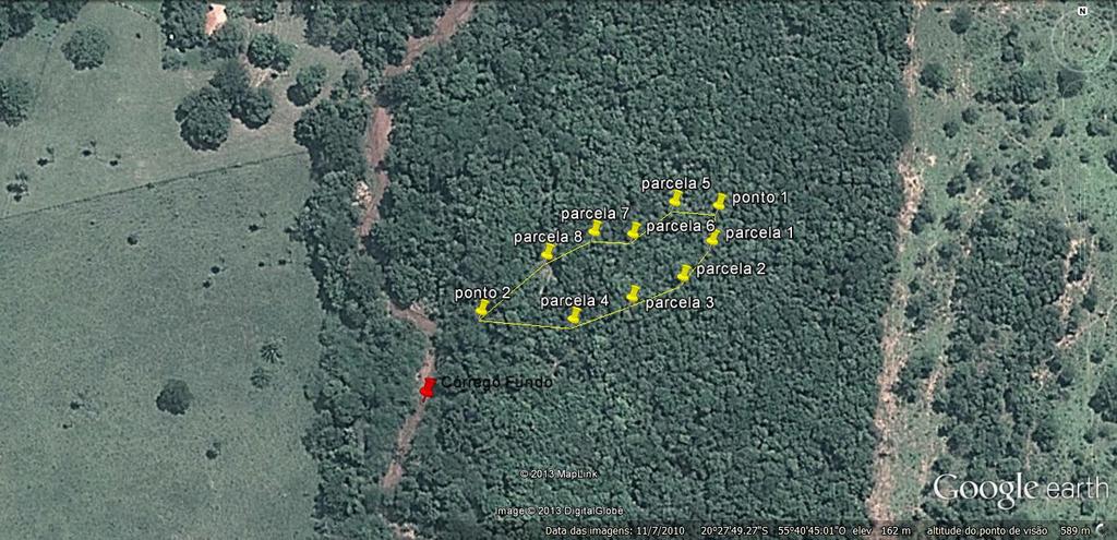 Belo Horizonte/MG - 24 a 27/11/2014 METODOLOGIA A área utilizada para o levantamento fitossociológico é classificada como uma floresta estacional semidecidual, situada ao longo da microbacia do