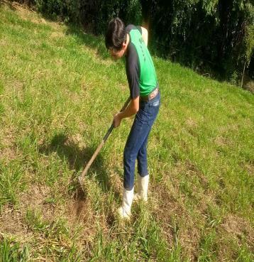 30/03 a 10/04-Preparação da Área Hoje fizemos a analise de solo, pois queremos saber se o solo esta precisando de algum nutriente, foi