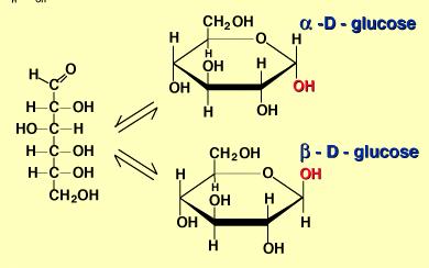 Formas linear e cíclica da glucose