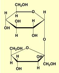 Na sacarose a