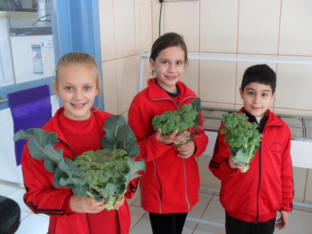 Na alimentação