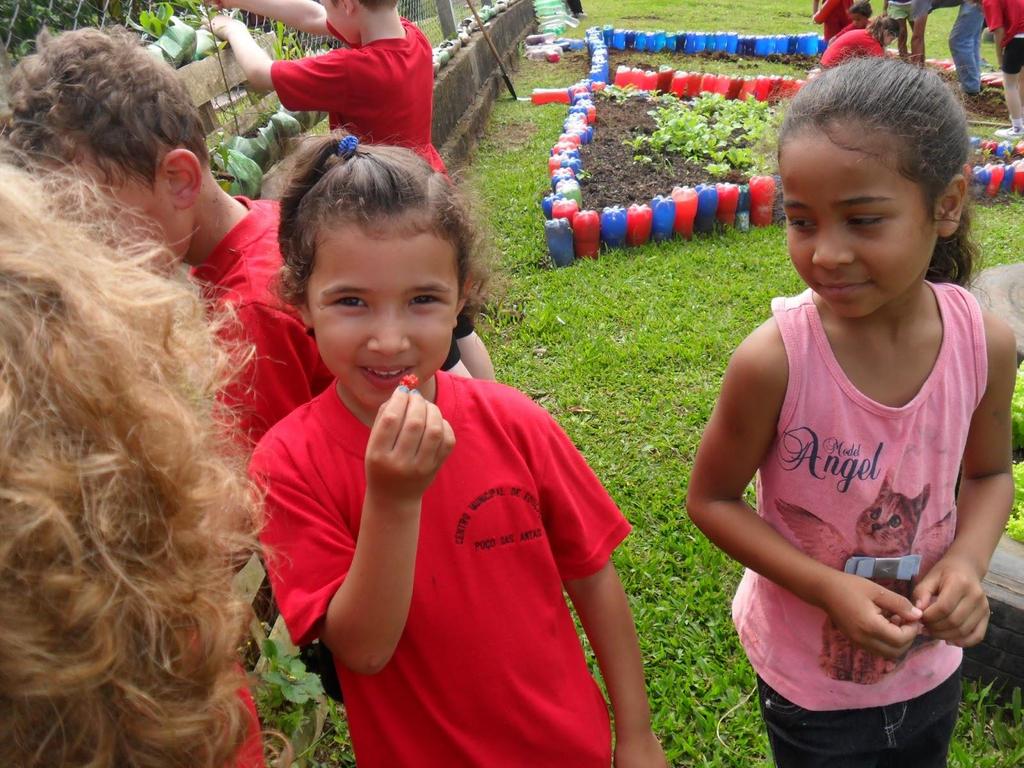 Na alimentação