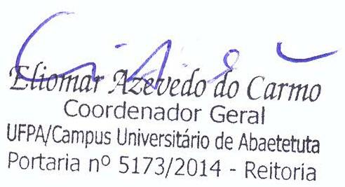 12 GRUPO IV ATIVIDADE PONTOS QTDE TOTAL Atividades Técnico- Profissionais e Administrativas realizadas nos últimos 5 (cinco) anos Reitor; Vice-Reitor, diretor de instituto, coordenador de Campus,