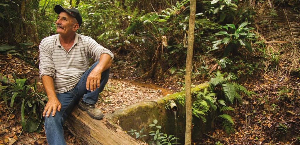 relatório de sustentabilidade 2016 Seu Chico da Mata (Francisco Origi Rossini) vem restaurando áreas de florestas ao redor de nascentes há mais de 30 anos.