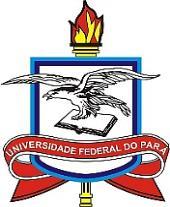 UFPA - Universidade Federal do Pará PPGEC - Programa de Pós-Graduação em Engenharia Civil TEMA: Desempenho Acústico das Edificações Segundo a NBR 15575 (ABNT, 2013): Desempenho das Vedações e