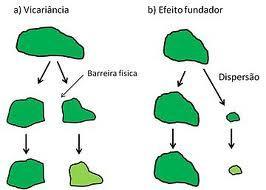 VICARIÂNCIA E DISPERSÃO # Como explicar o encontro de uma espécie em dois ou mais locais diferentes