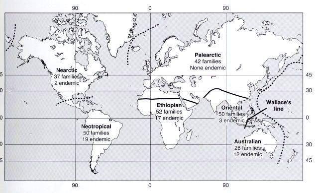 Diversidade dos mamíferos: zoogeografia