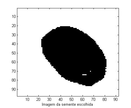 exc = sqrt(1-(larg/comp) 2 ) (1) areaelipse= k1*comp*larg (2) 4) No cálculo dos valores aproximados da largura e do comprimento da semente considerou-se que a área da elipse (areaelipse) é