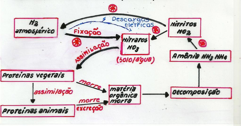 Ciclo do Nitrogenio Gasoso - Reservatório: