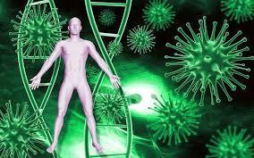 Sistemas Imunológicos Artificiais O Sistema Imunológico Natural é um dos mais importantes componentes dos organismos superiores; Seus mecanismos de reconhecimento e combate a agentes