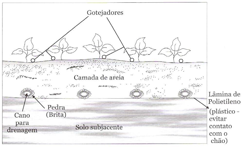 Sistemas de cultivo por gotejamento Cultivo em areia Pode ser usado em bancadas canais ou na área total da casa de vegetação.