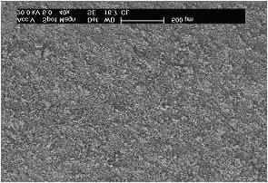 O pó carbonila CL de Fe puro tem tamanho de partícula médio de 6-8 ìm, bem menor do que para o pó DC 177 (Figura 4.