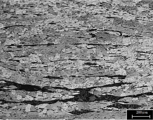 2.2 Microestrutura A microestrutura do material da alma e cantoneira da ponte Eiffel de Viana do Castelo apresenta praticamente só ferrite, como era de esperar, devido ao baixo teor em carbono [7].