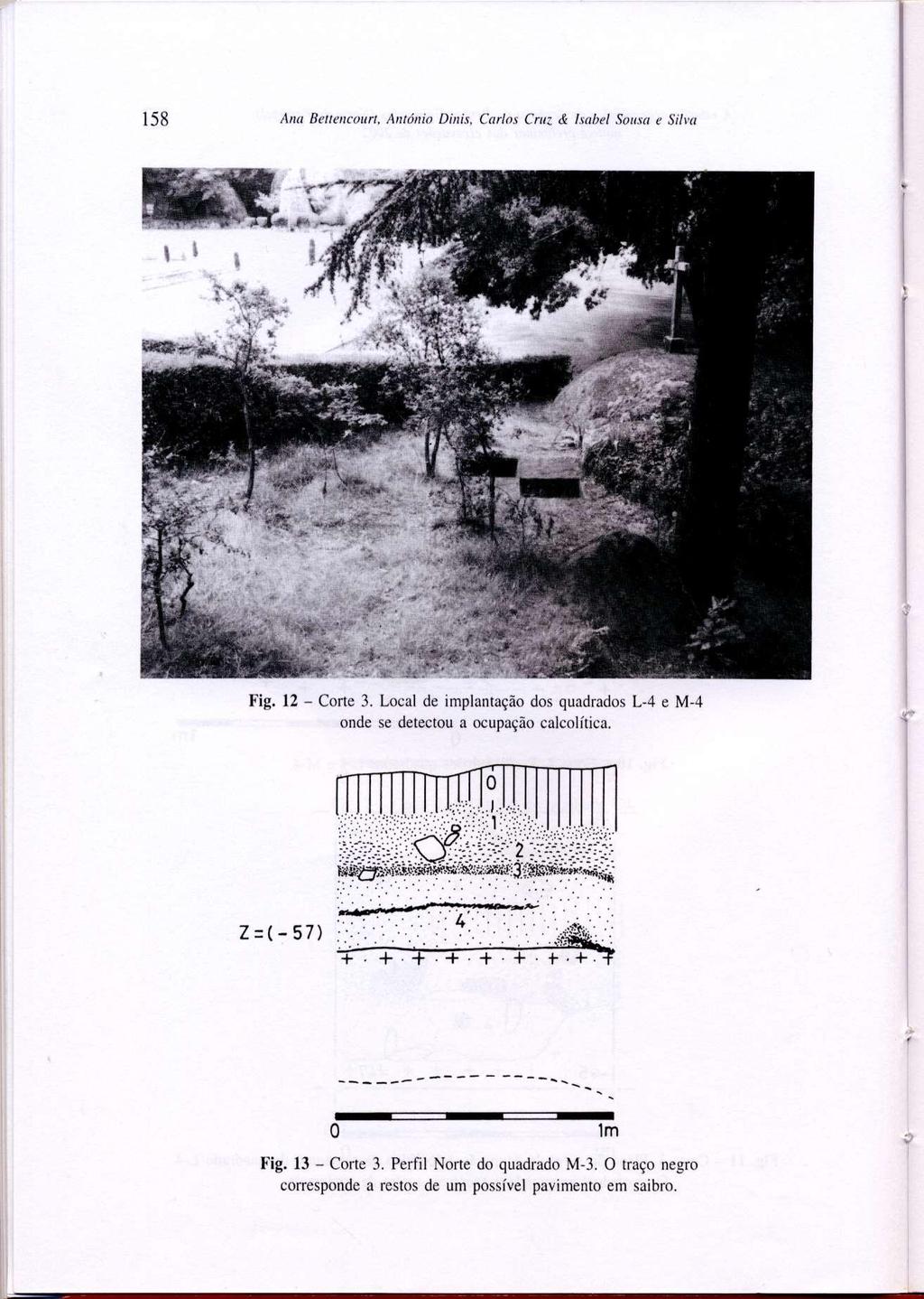 158 Ana Bettencourt, António Dinis, Carlos Cruz & Isabel Sousa e Silva O 2 Fig. 13 - Corte 3.