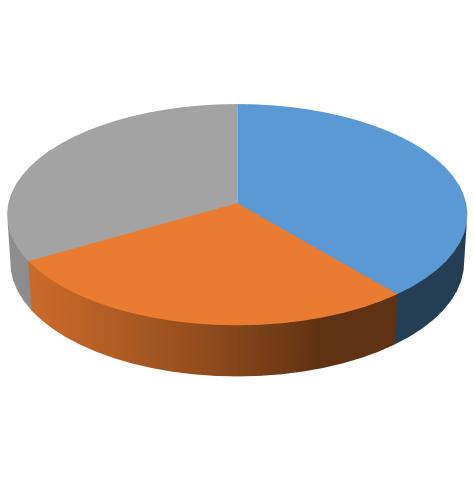 MEDICAMENTO: Ansiolíticos 34,70% Antidepressivos 30,40% Anticonvulsivantes 0,00% Antipsicóticos 0,00% Analgésicos opióides 13,00% Estabilizador de humor 8,60% Estimulantes cerebrais 8,60% Hipnóticos