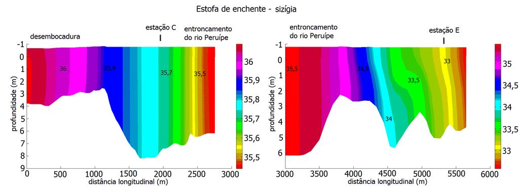 100 apresentado gradientes longitudinais de salinidade maiores para quaisquer faixas de quilômetro simulado.