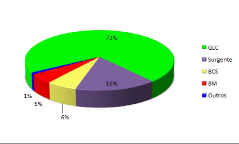 Figura 1 - Métodos de elevação aplicados em poços de petróleo em 2009. (Rizzo Filho, 2011). Na Figura 1 é possível ver claramente que o método mais utilizado pela Petrobras é o Bombeio Mecânico (87%).