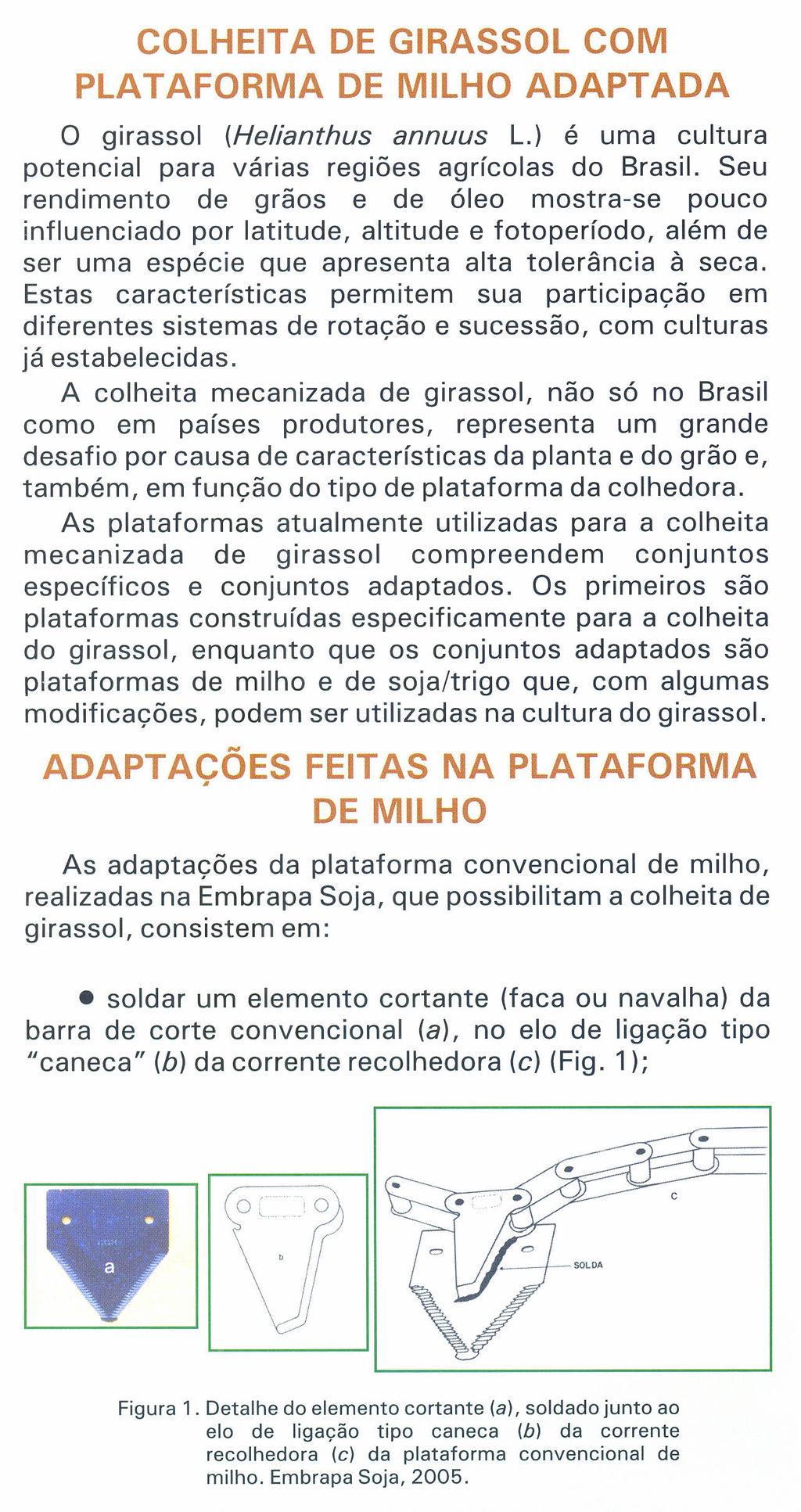 COLHEITA DE GIRASSOL COM PLATAFORMA DE MILHO ADAPTADA o girassol (Helianthus annuus L.) é uma cultura potencial para várias regiões agrícolas do Brasil.