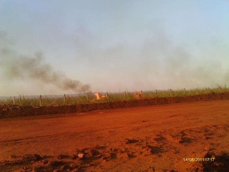 Foto 2: Incêndio em plantação de cana de açúcar no município de Santa Vitória-MG.