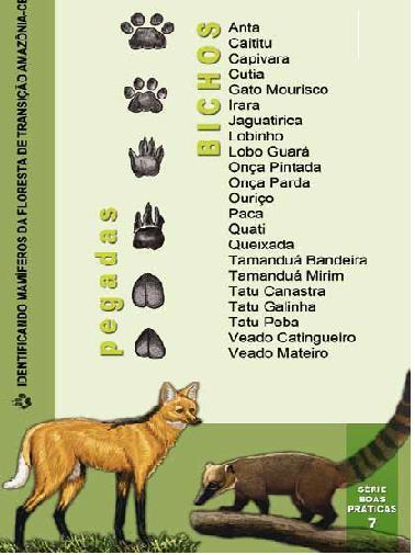 Art. 3º: Documentação para análise. I. Grupos de vertebrados: Mamíferos, aves, répteis e anfíbio; II. Ictiofauna somente quando de interferência em ambientes aquáticos; III. ART dos profissionais; IV.